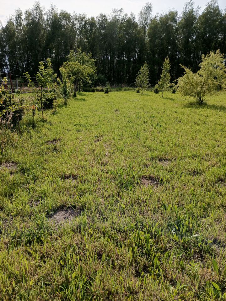 Działka rolno-budowlana Klempicz, Klępicz 20b. Zdjęcie 12