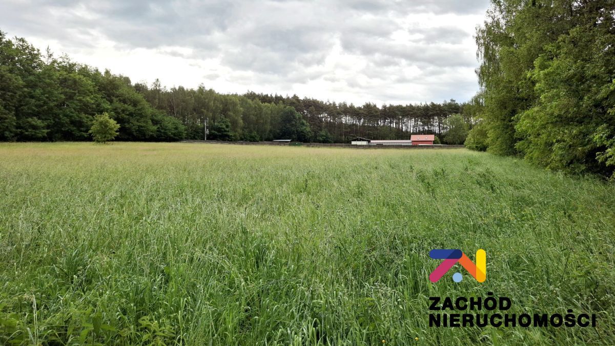 Hala/magazyn Zielona Góra. Zdjęcie 4