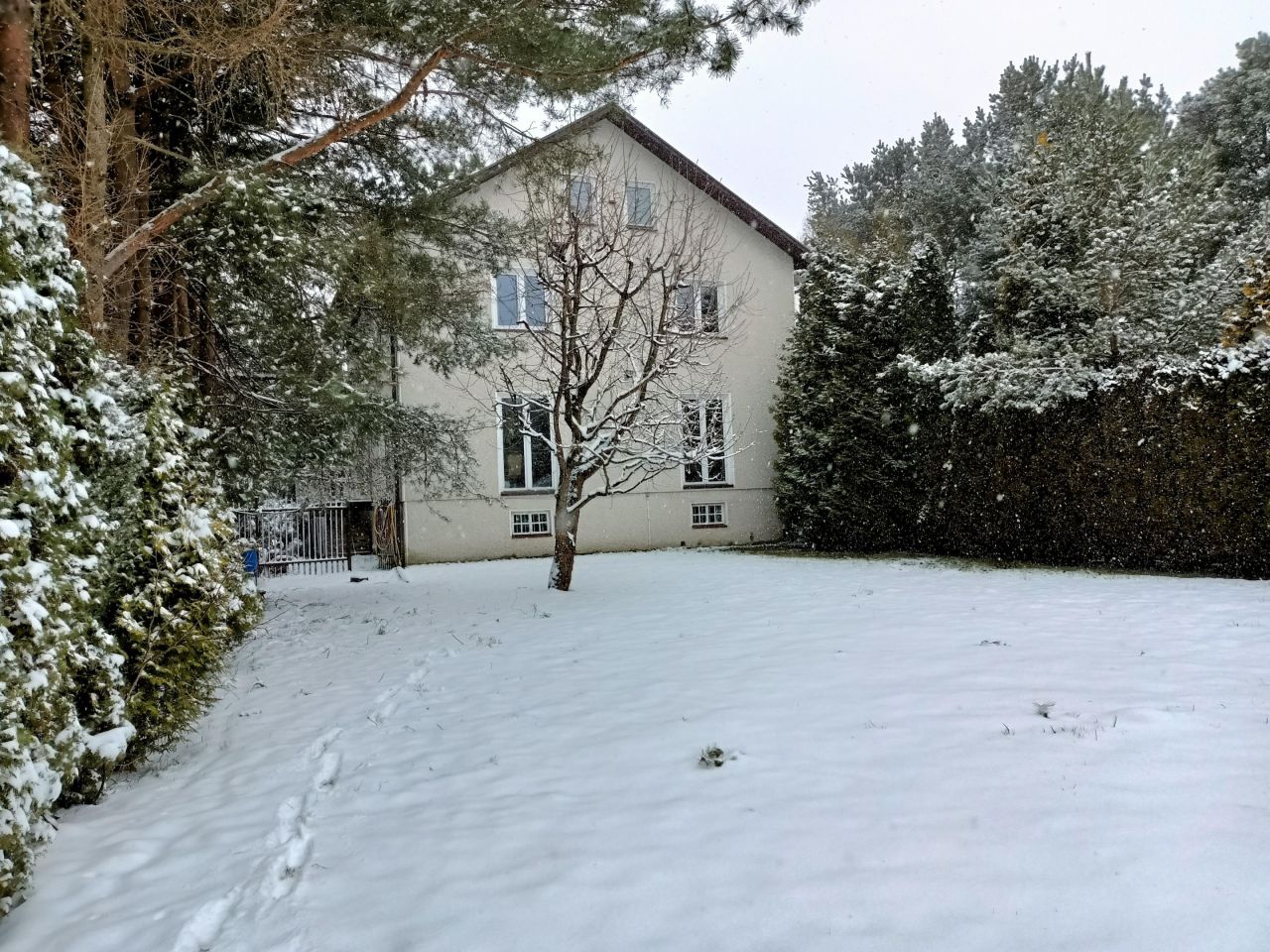 bliźniak, 5 pokoi Jastrzębie, ul. Graniczna. Zdjęcie 34