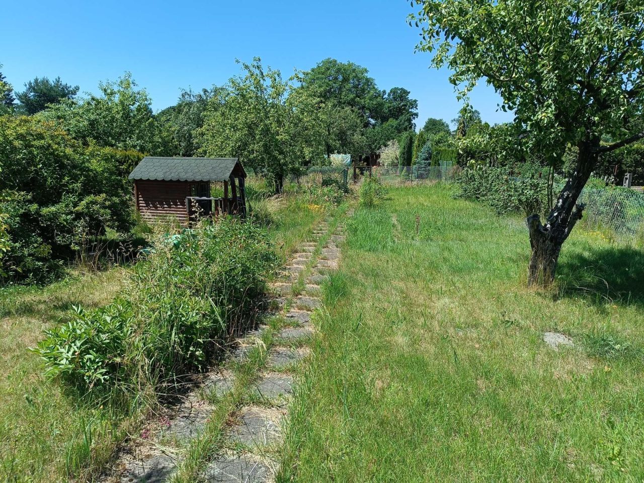 Działka rod Tarnowskie Góry Osada Jana. Zdjęcie 8