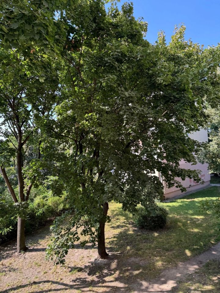 Mieszkanie 2-pokojowe Włocławek Centrum, al. Chopina. Zdjęcie 16