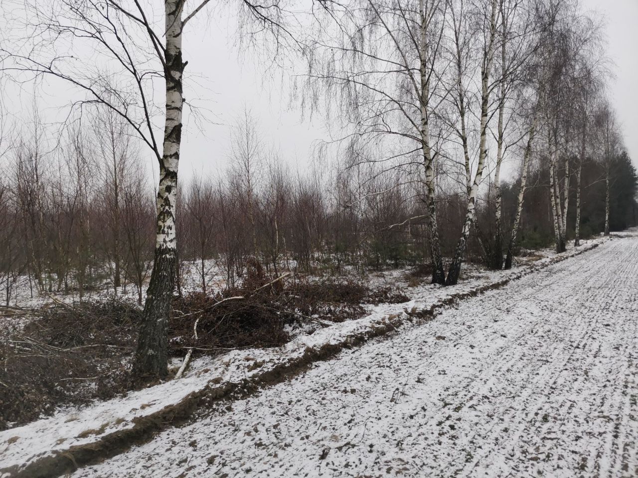 Działka rolna Nowa Wieś. Zdjęcie 2