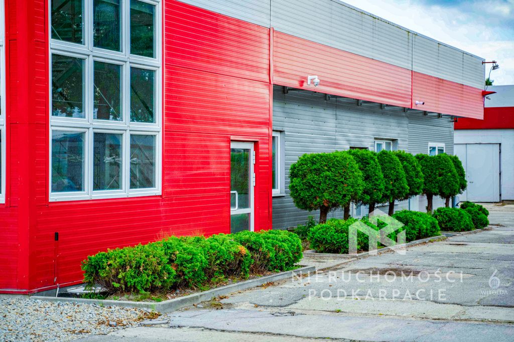 Lokal Rzeszów, ul. Witolda. Zdjęcie 6
