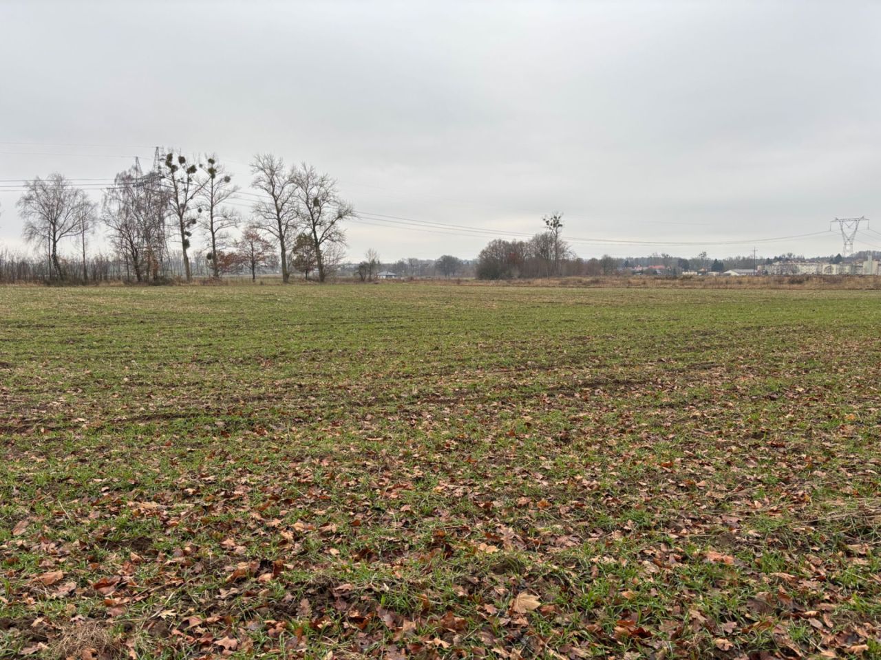 Działka rolna Radowo Małe. Zdjęcie 4