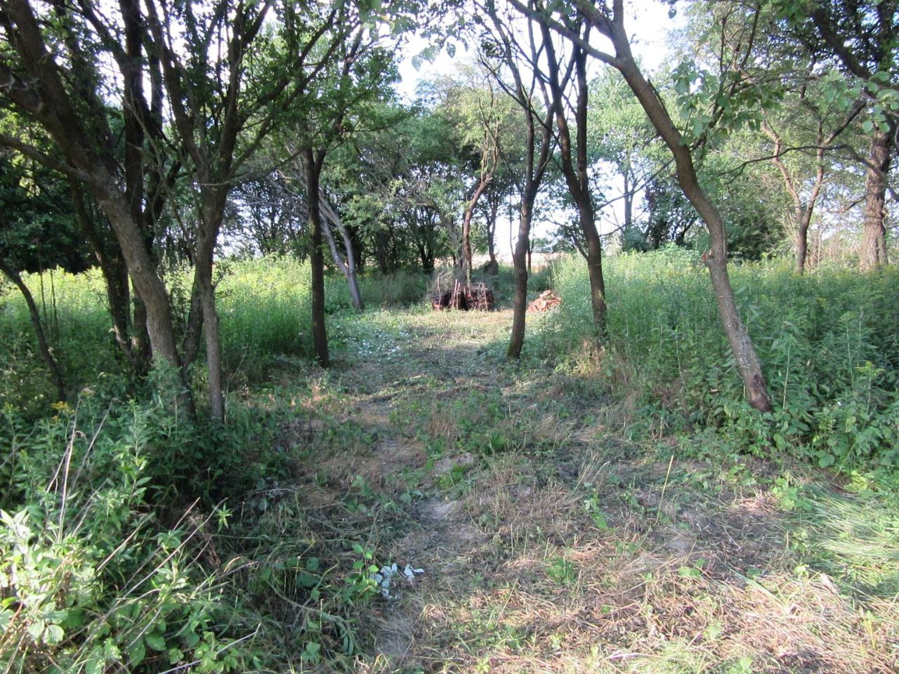 Działka siedliskowa Stawki. Zdjęcie 7