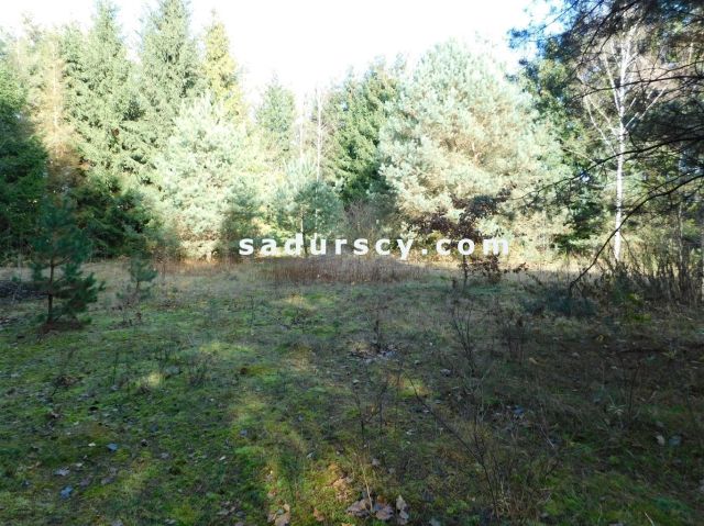 Działka budowlana Biały Ług. Zdjęcie 17