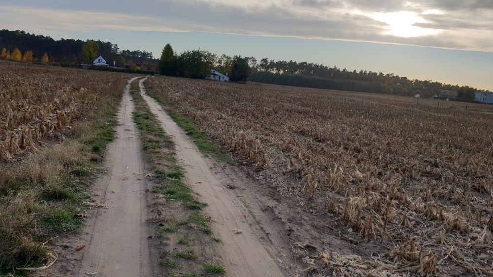 Działka budowlana Dobromierz. Zdjęcie 3