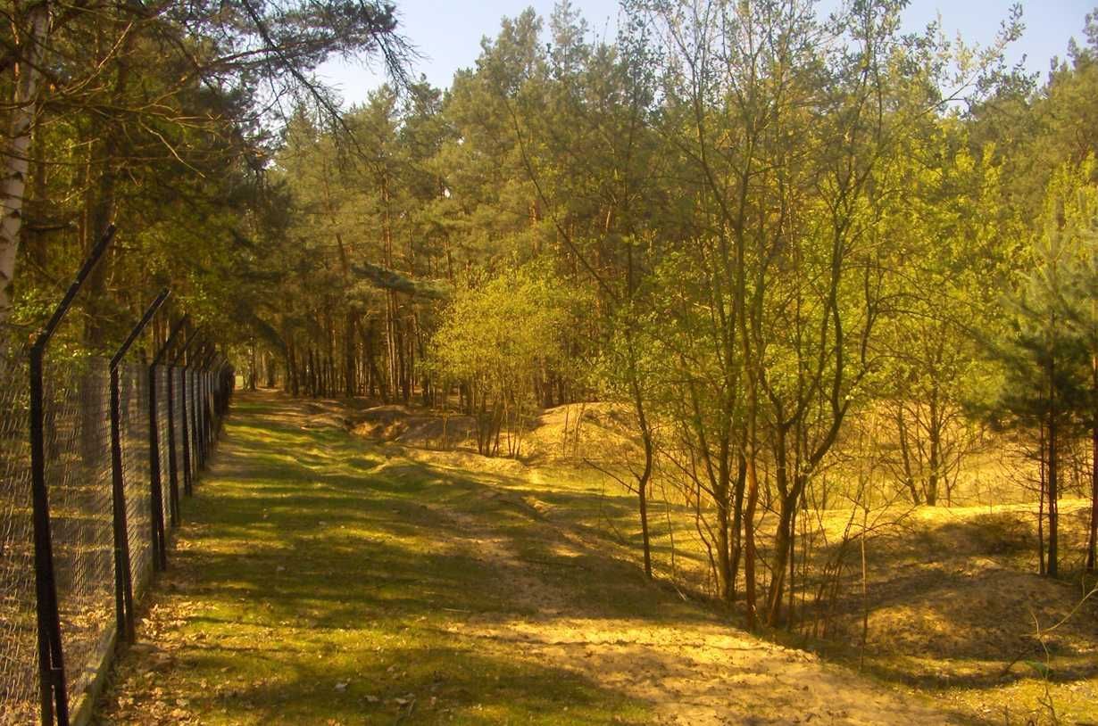 Hala/magazyn Masanów, ul. Lipowa. Zdjęcie 7