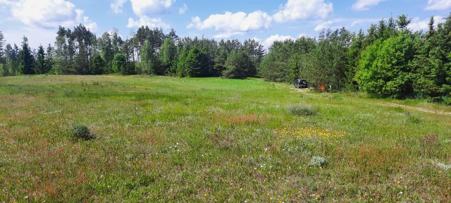 Działka rekreacyjna Kłodno. Zdjęcie 1