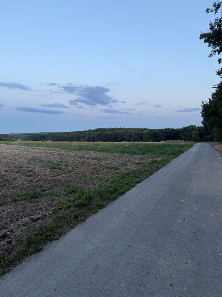 Działka rolna Wolica. Zdjęcie 4