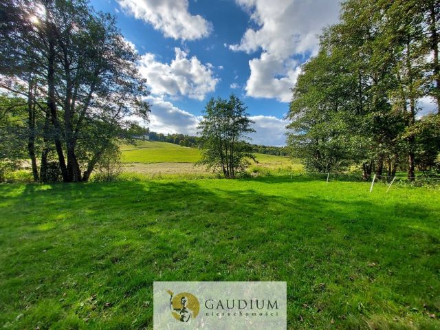 Działka Kobysewo. Zdjęcie 4