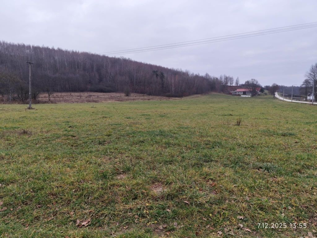 Działka budowlana Czyżów. Zdjęcie 3