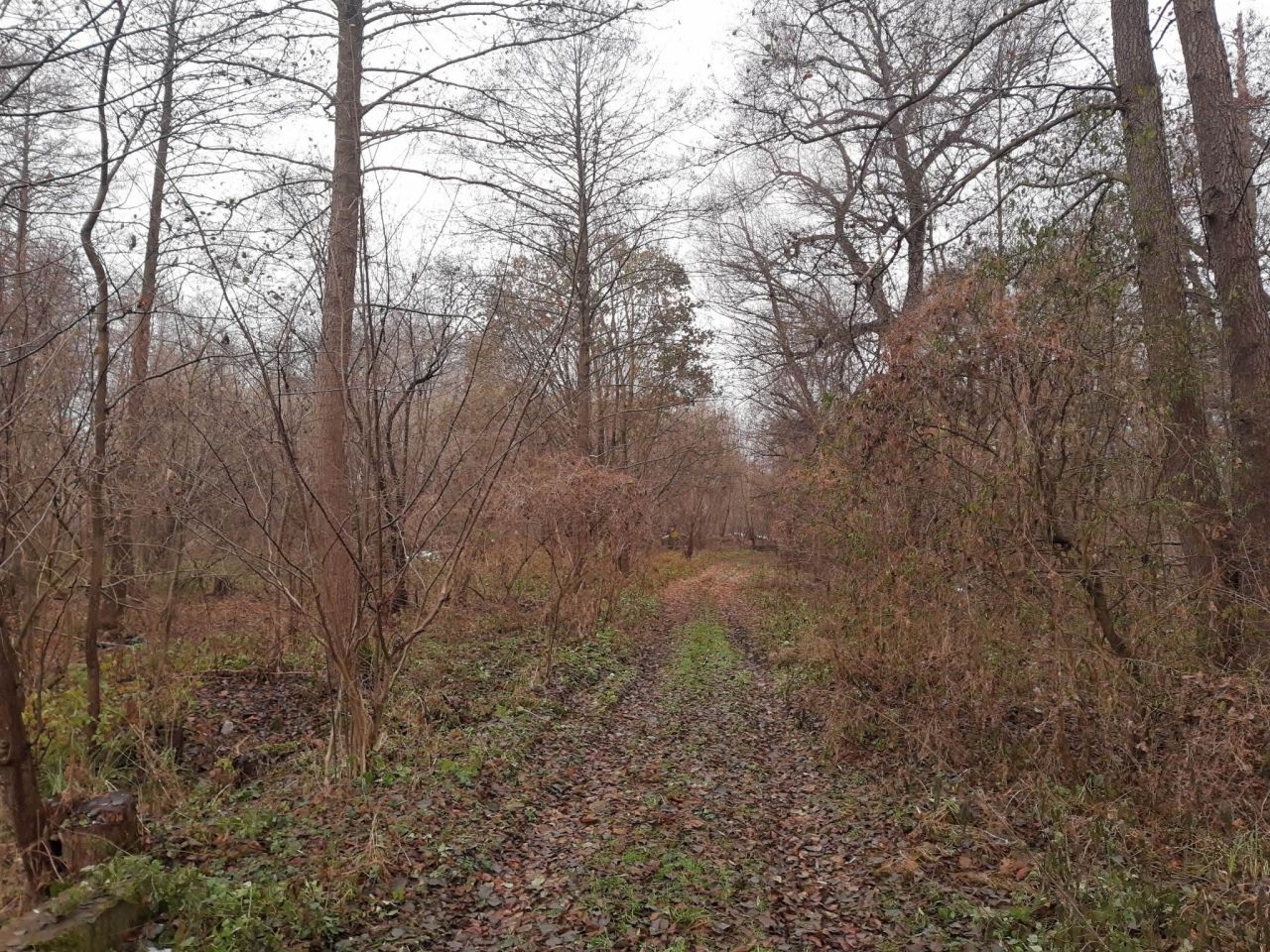 Działka budowlana Gronów. Zdjęcie 25