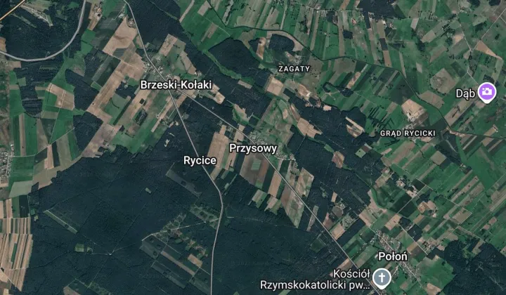Działka leśna Przysowy Zagaty