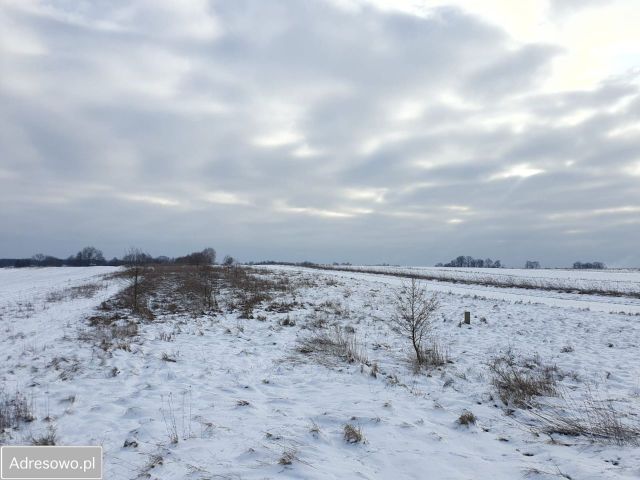 Działka rolno-budowlana Nowa Wieś Szlachecka, ul. Szlachecka. Zdjęcie 1