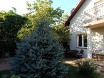 dom wolnostojący, 5 pokoi Kalinowice. Zdjęcie 2