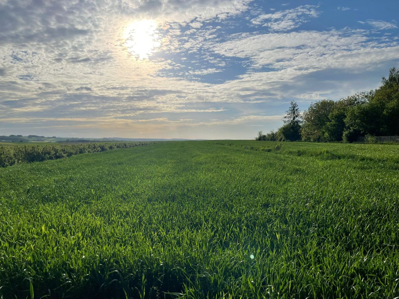 Działka rolno-budowlana Witów. Zdjęcie 7