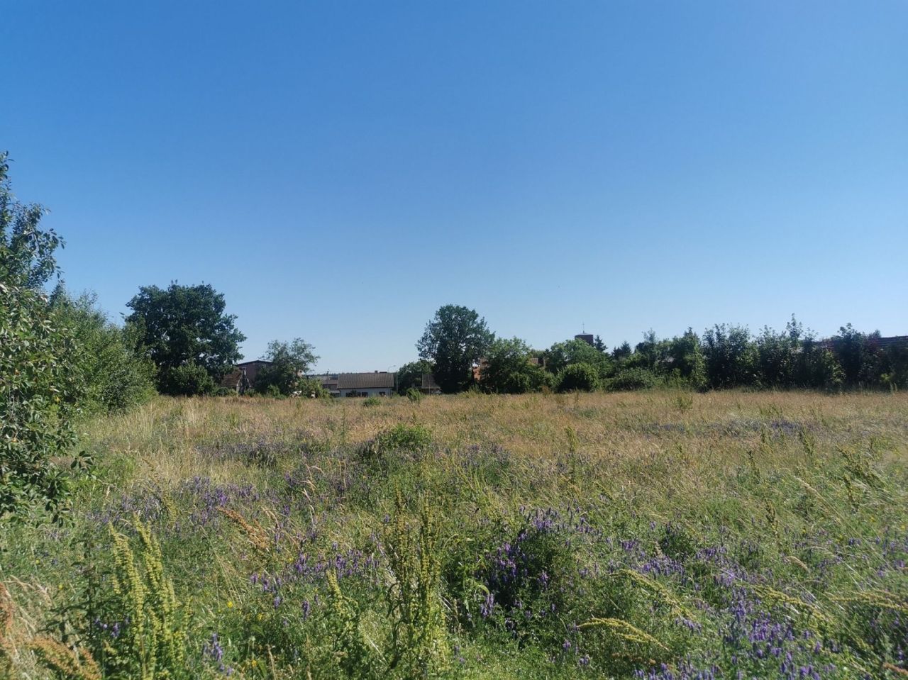 Działka budowlana Lipka. Zdjęcie 11