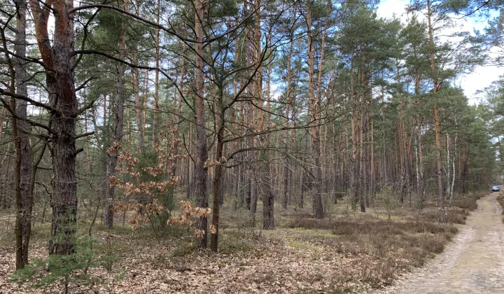 Działka budowlana Otwock Soplicowo, ul. Protazego