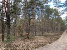 Działka budowlana Otwock Soplicowo, ul. Protazego