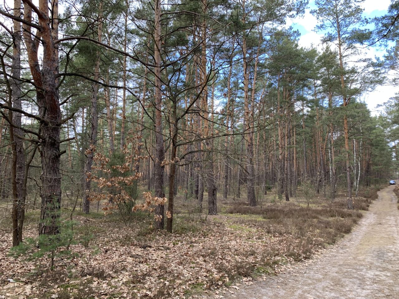 Działka budowlana Otwock Soplicowo, ul. Protazego