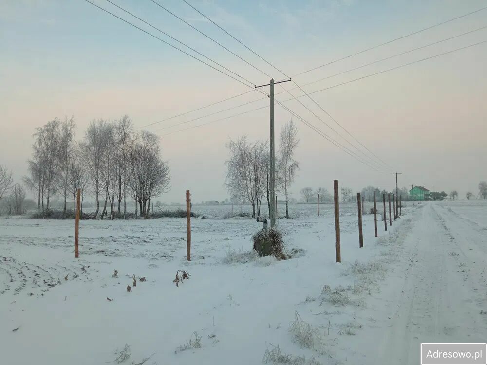 Działka siedliskowa Bachorzewo. Zdjęcie 8