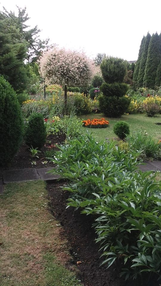 Działka rod Oświęcim. Zdjęcie 4