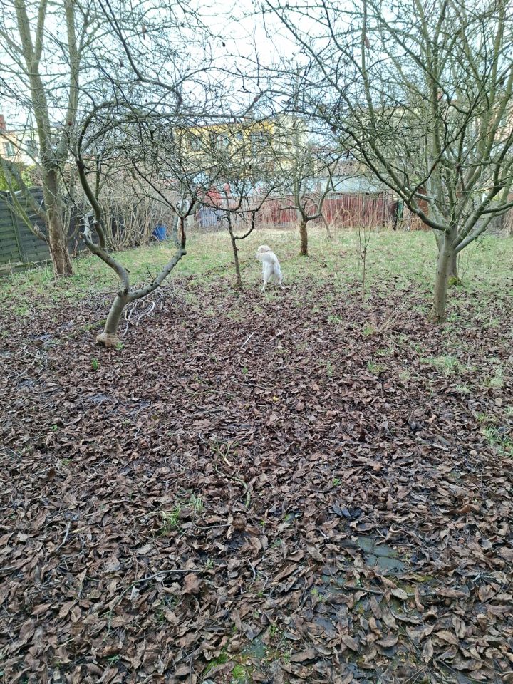 bliźniak, 5 pokoi Kielce KSM, ul. Mąchocka. Zdjęcie 25