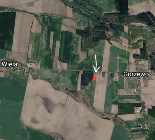 Działka rolno-budowlana Wiela. Zdjęcie 1