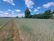 Działka rolno-budowlana Czerśl. Zdjęcie 1