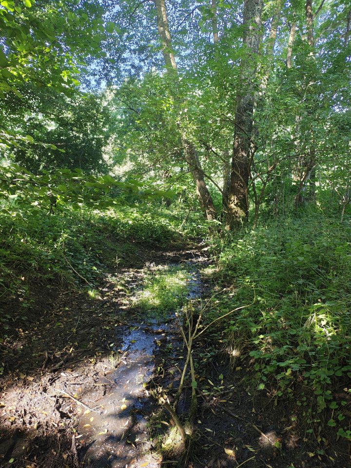 Działka inwestycyjna Poganice. Zdjęcie 10