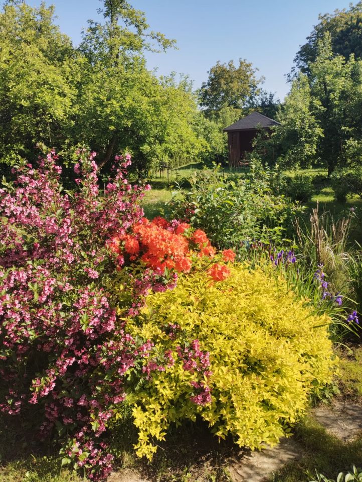 Działka rod Kraków Przegorzały, ul. Rybna. Zdjęcie 8