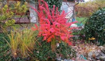 Działka rod Nowy Tomyśl