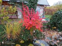 Działka rod Nowy Tomyśl. Zdjęcie 1