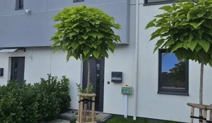 dom szeregowy Bieniewice