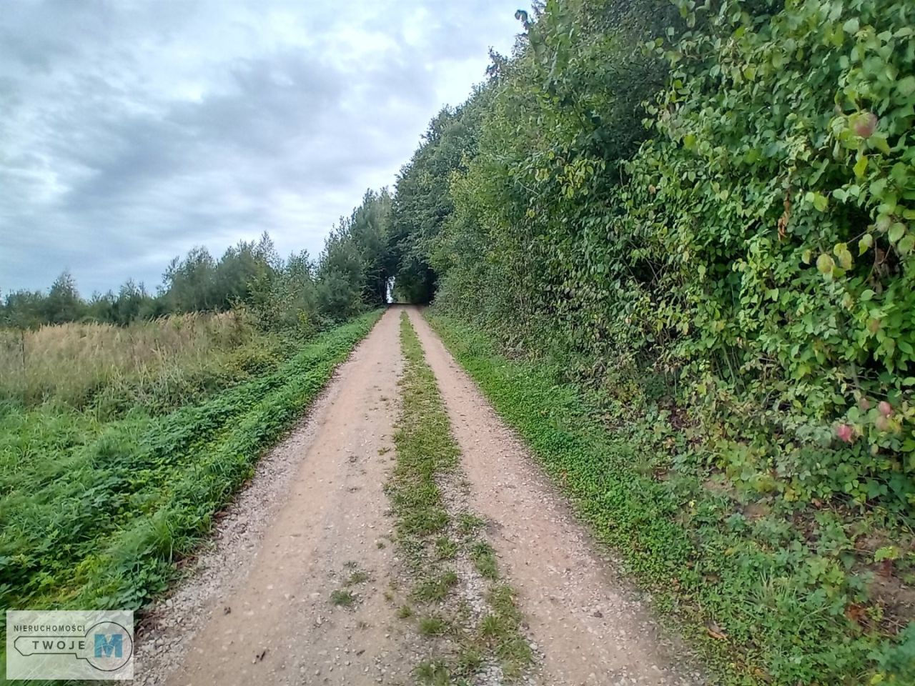 Działka budowlana Morawica. Zdjęcie 8