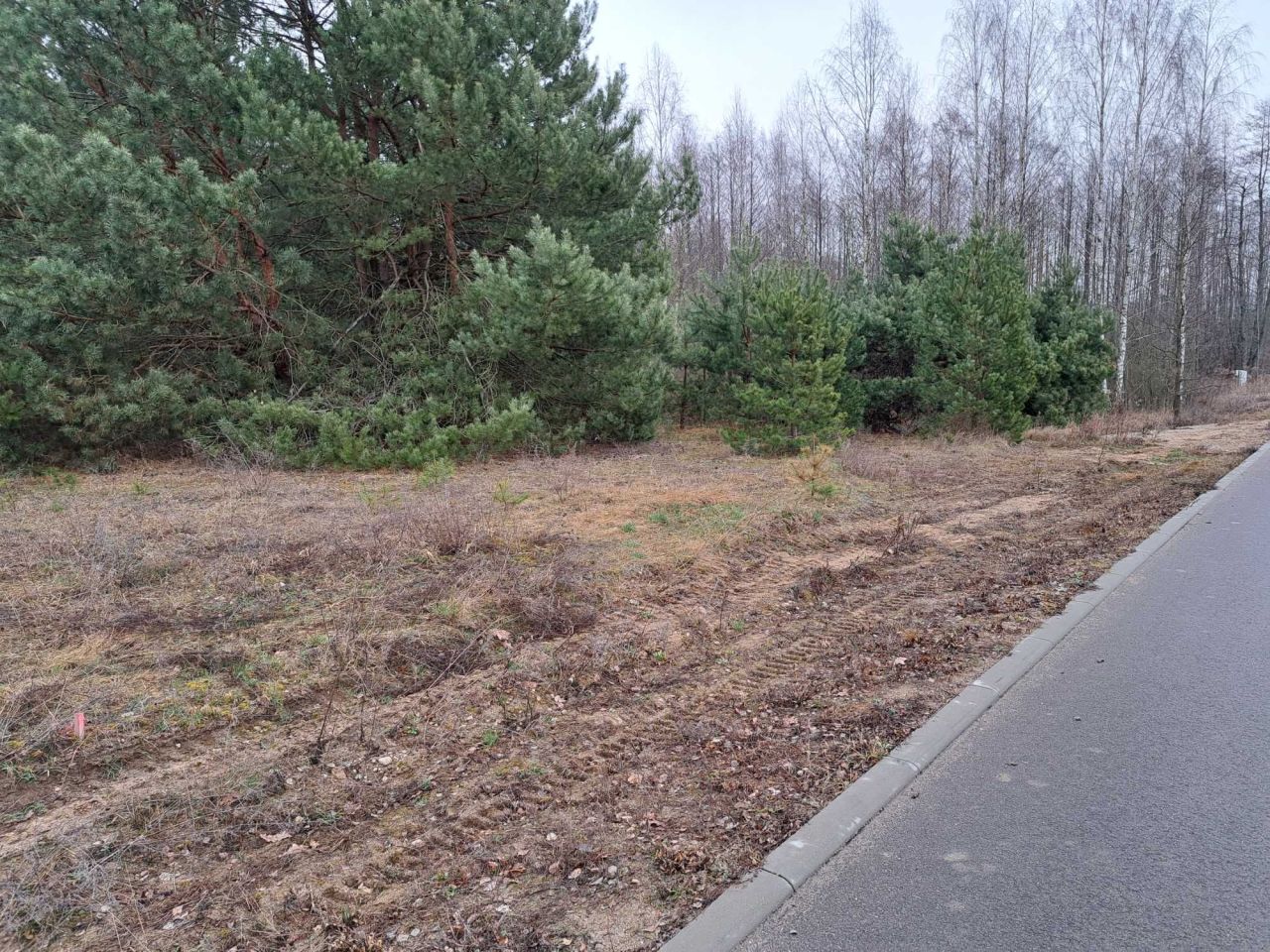 Działka rekreacyjna Suchodół Szlachecki. Zdjęcie 5