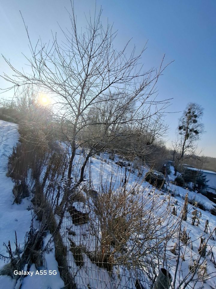 Działka rod Miastko. Zdjęcie 4