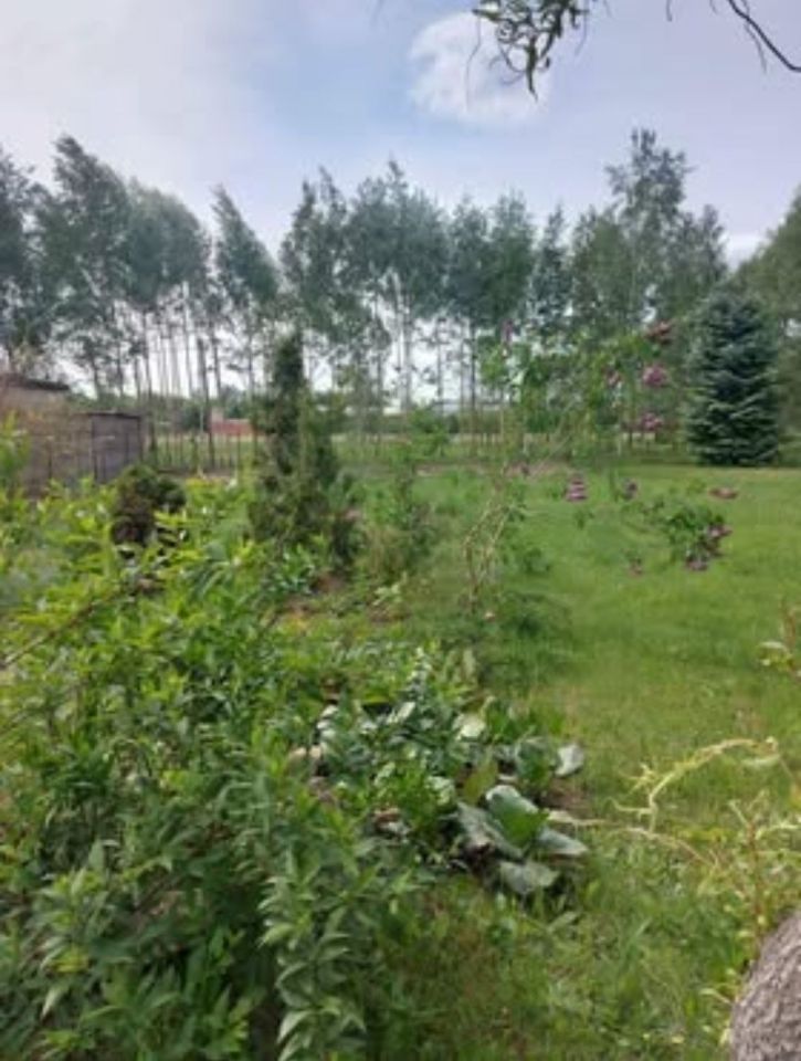 Działka budowlana Zgierz Proboszczewice, ul. Ogrodnicza. Zdjęcie 5