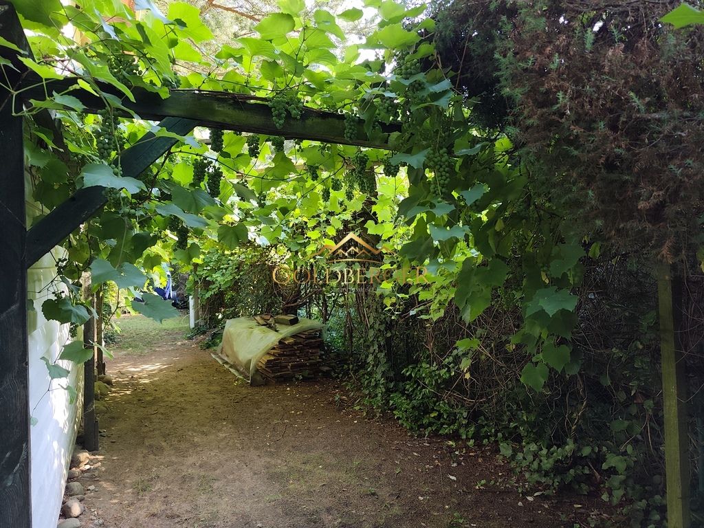 Działka rod Sierosław, ul. Leśna. Zdjęcie 29