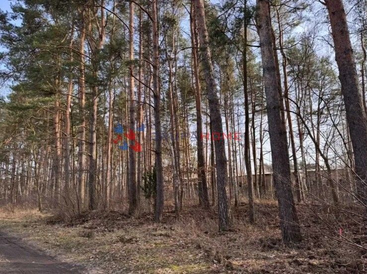 Działka budowlana Marylka. Zdjęcie 2