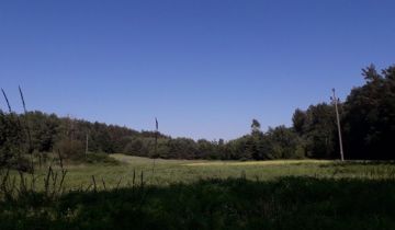 Działka leśna Trzcianki