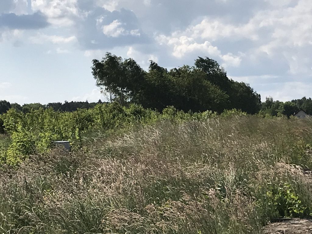 Działka budowlana Kraków Bronowice Małe, ul. ks. Stanisława Truszkowskiego. Zdjęcie 8