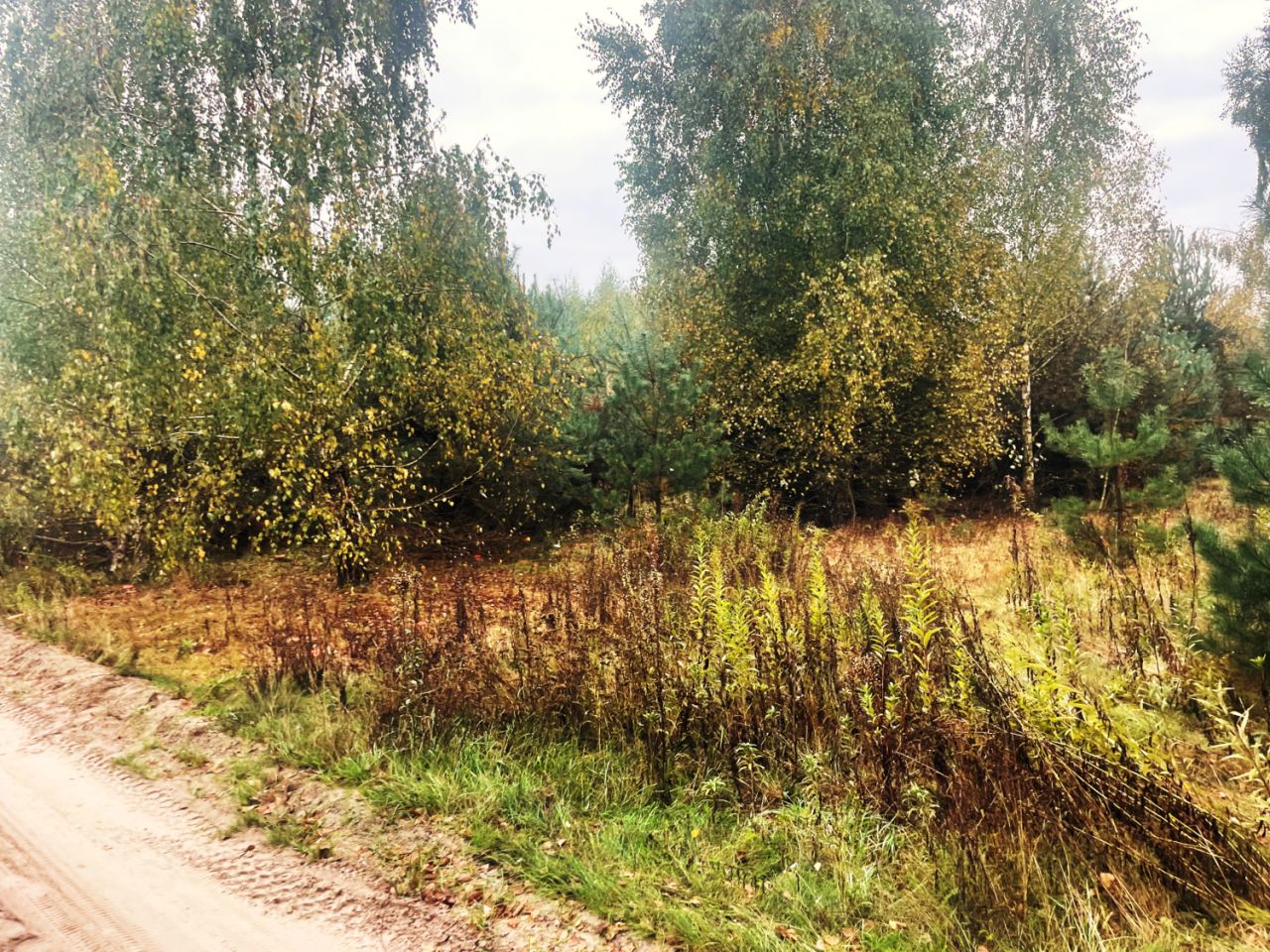 Działka budowlana Barcice Drwalewskie. Zdjęcie 5