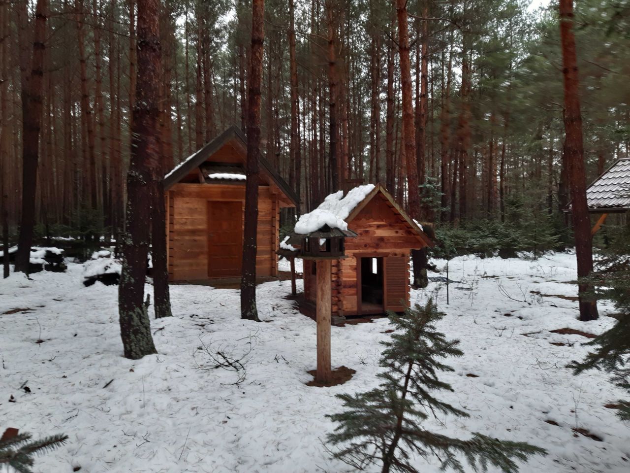Działka budowlana Górecko Kościelne. Zdjęcie 2