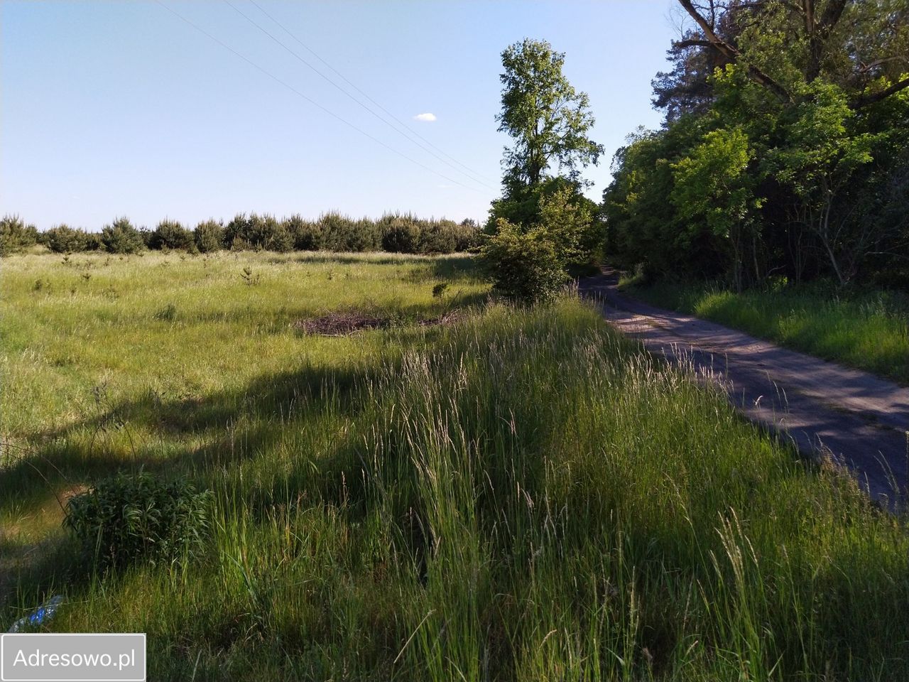 Działka rolno-budowlana Chłopowo. Zdjęcie 15