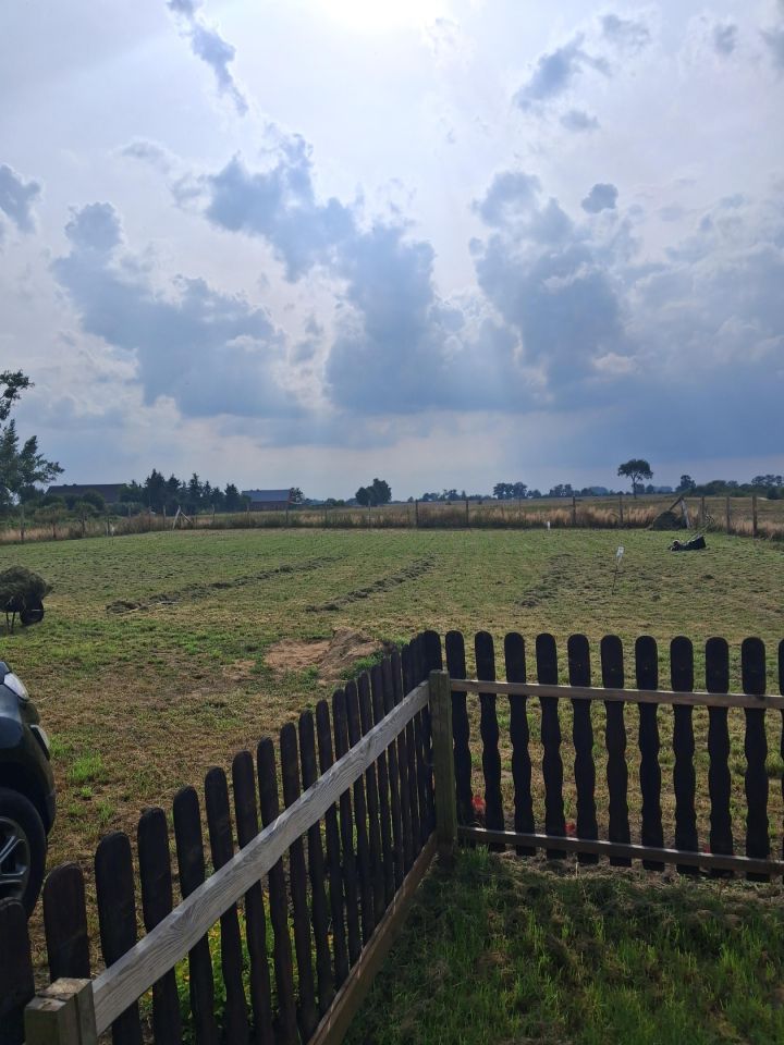 Działka rolna Jedlice Brzostowo. Zdjęcie 7