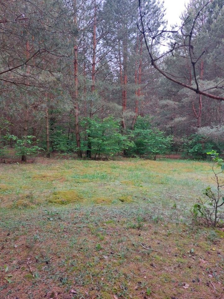 Działka rolno-budowlana Prabuty. Zdjęcie 7