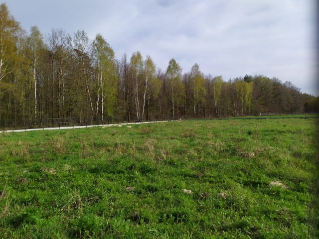 Działka rolno-budowlana Będzelin. Zdjęcie 1