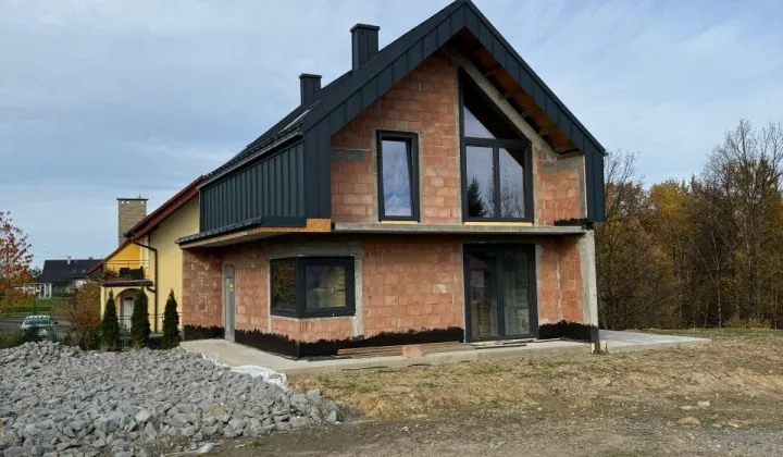 dom wolnostojący Borzęta